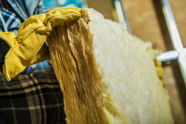Types of Insulation We Offer in Emerald Mountain, AL