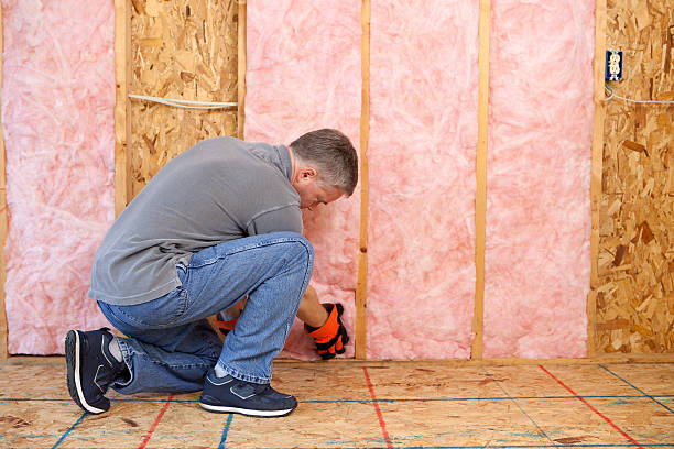 Best Blown-in Insulation in Emerd Mountain, AL